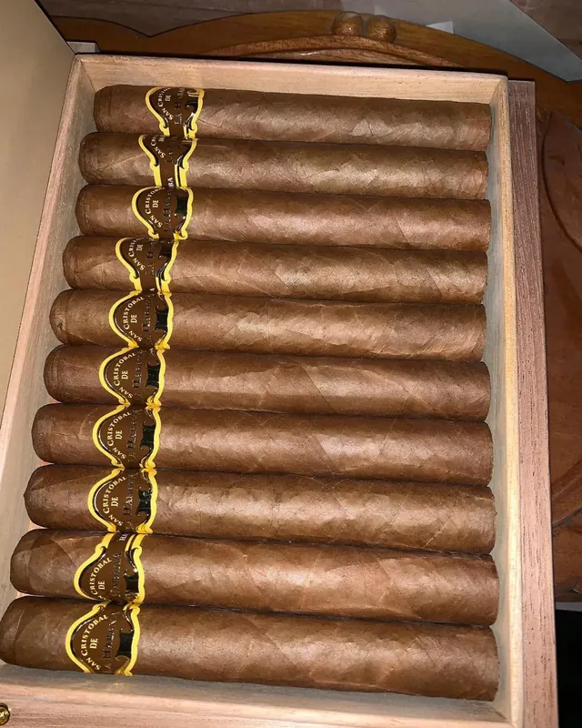 A cabinet of bundled cigars