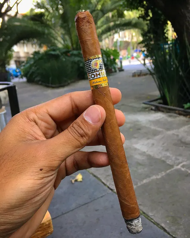 Cohiba Lanceros