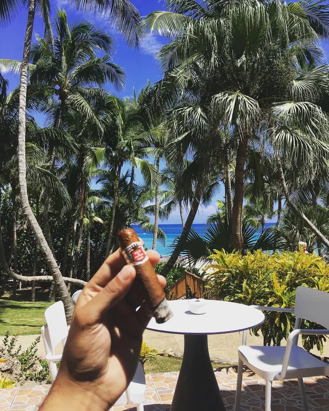 Hoyo de Monterrey Petit Robusto