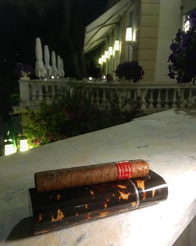 Partagás D4 and a tortoiseshell cigar case